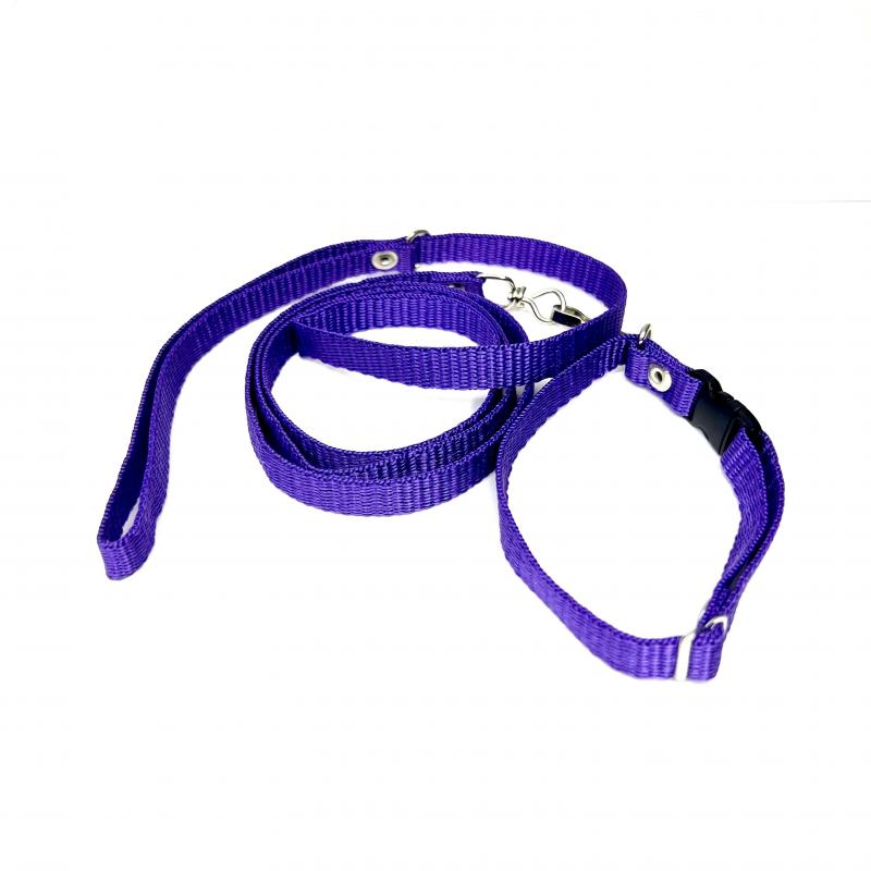 KIT C/COLLAR LISA ECO 12MM MOAGUI