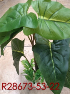 side